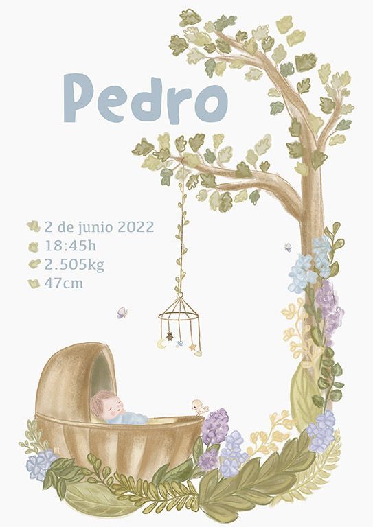 Pedro_Nacimiento copia